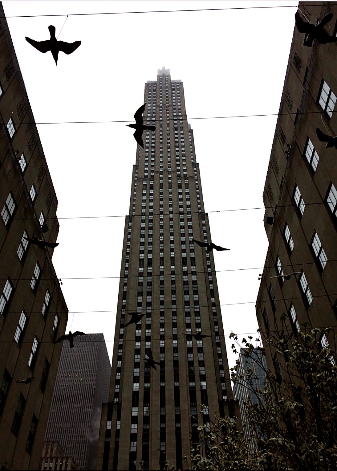 Rockefeller Center, Nowy Jork